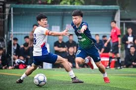 2026年世界杯里尔球员小组赛时间揭秘